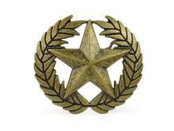 Wheat and Star Brass Buckle